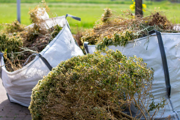 Best Residential Junk Removal  in Carrier Mls, IL